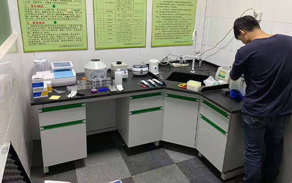 广州、深圳青菜篮实验室